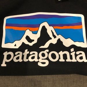 Men’s Patagonia hoodie size large